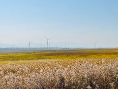 -野鸭湖国家湿地公园