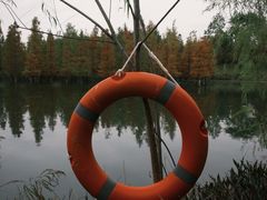 -白鹭湾湿地公园