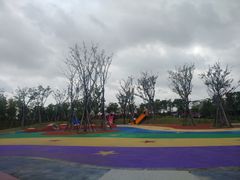 -春花秋色城市公园