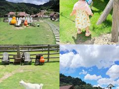 -龙岩森林水乡景区