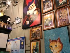 -猫咪博物馆(顶澳仔猫街店)