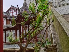 -龙潭水乡