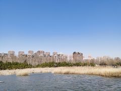 -前关湿地公园