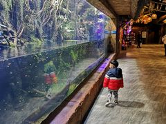 -华夏文旅海洋公园