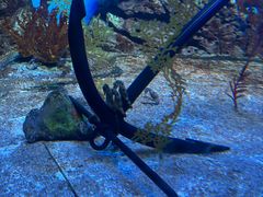 -上海海洋水族馆
