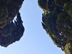 -小麦岛公园