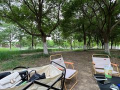 -贡湖湾湿地公园