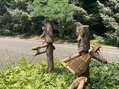 -沈阳植物园
