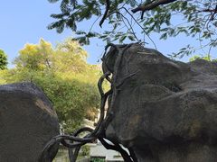 -深圳国际园林花卉博览园