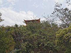 -大屏嶂森林公园