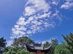 -龙华寺