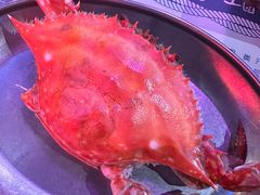 -济扶岛韩国海鲜汤제부도 해물탕(望京店)