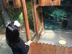 -上海大自然野生昆虫馆(东方明珠·爬宠昆虫探索中心)