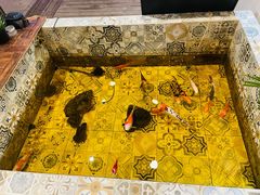 -Siam泰餐厅(水上公园店)