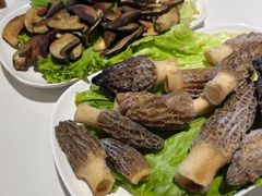 -爱膳菌锅锅(阳南店)