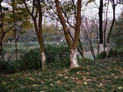 -樽宴酒楼·地道川菜·品质宴请