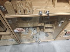 -凯德广场(学府店)