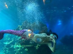 -涛·海底餐厅·美人鱼·自助餐·海底隧道(三亚海棠湾洲际度假酒店)