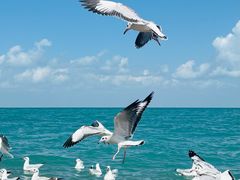 -青海湖国家重点风景名胜区