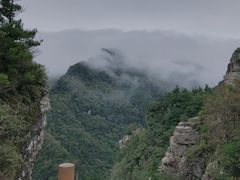 -牛背梁国家森林公园