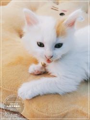 -EasyLady美甲沙龙