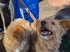 -众品香美食(三弓路店)