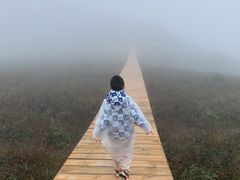 -白草畔自然风景区