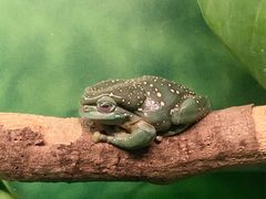 -可伦宾野生动物保护区