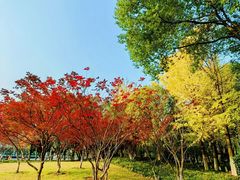 -后襄河公园