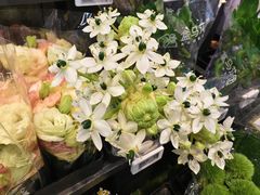 -盒马鲜生(红莲店)