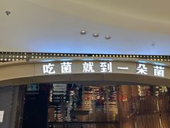 -一朵菌·野生菌探索家火锅(南亚店)