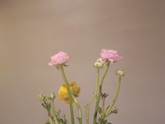 -菩提素素食餐厅(晶郦馆店)