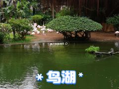 -九龙公园