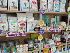 -瑞鹏宠物医院·骨外科·心肾科·肿瘤科(九亭店)