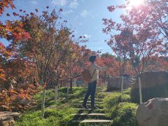 -广州市帽峰山景区