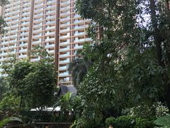 -三亚湾红树林度假世界(木棉酒店)