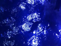 企鹅馆-上海海昌海洋公园
