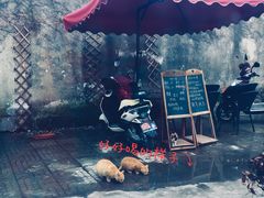-昼夜咖啡馆