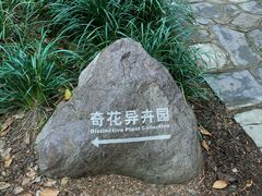 -中国科学院西双版纳热带植物园