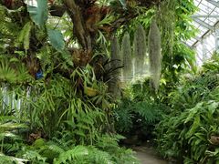 -国家植物园南园