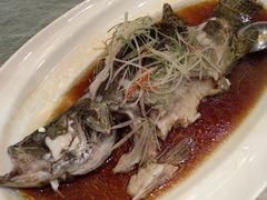 -望乡楼上海菜(日月光店)