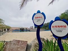 -广东惠东海龟国家级自然保护区