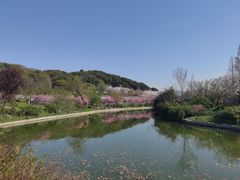 -苏州上方山国家森林公园