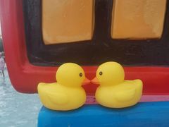 -巨鹏飞梦幻海岸