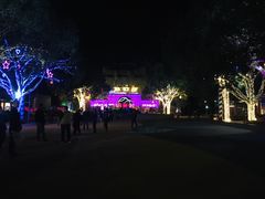 -横店影视城梦幻谷园区