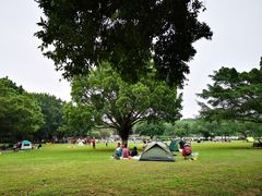 -东莞植物园