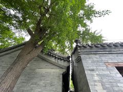 -VOYAGE COFFEE(北锣鼓巷店)