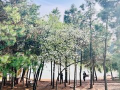 -南京市无想山景区