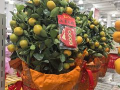 -山姆会员商店(上海浦东店)