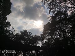 -长沙市青少年宫